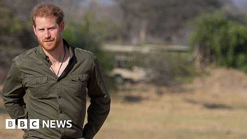 Protecting nature doesn't make me a hippy - Harry