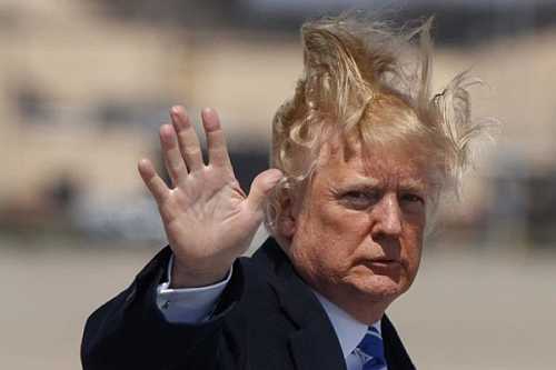 Trump Administration Will Keep Protected Status for Somalis But Turn Away New Applicants Trump Administration Will Keep Protected Status for Somalis But Turn Away New Applicants