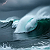 Prayer Request: Prayer of Reflection and Strength for 2026Heavenly Father,I come before You with a sincere...